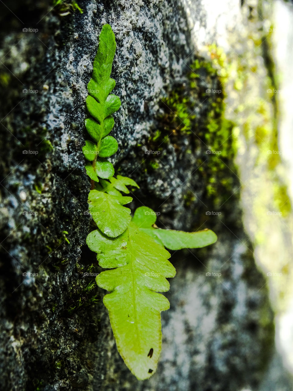 how much do you like this photo