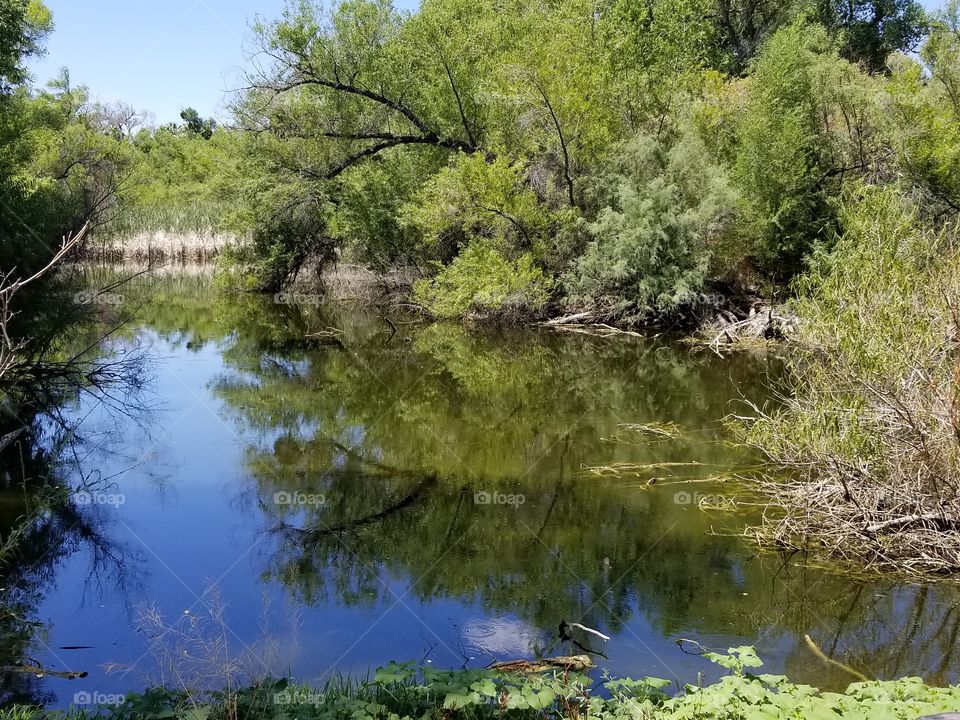 hassayampa lake not a lot of water here so it's precious