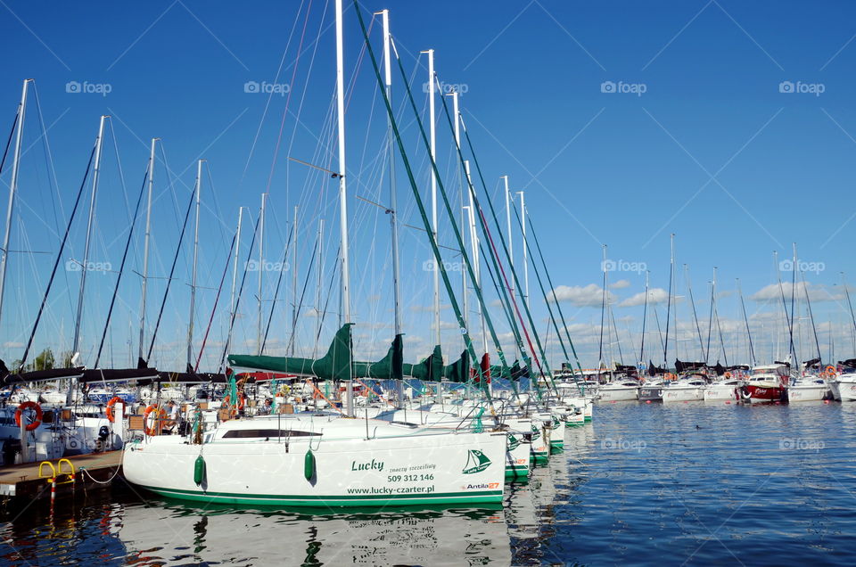 Yachts in the marina.