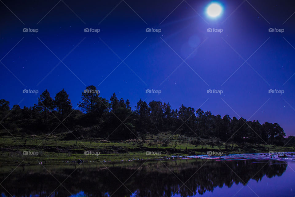 pines reflected on water in The night