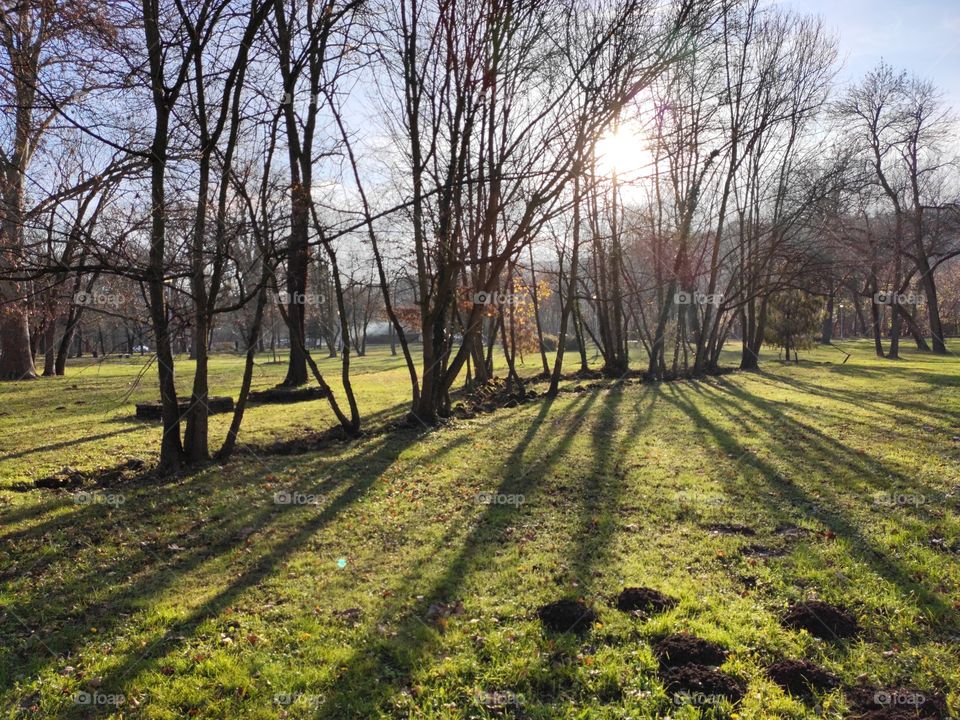 Belgrade Serbia Topcider park in the autumn afternoon