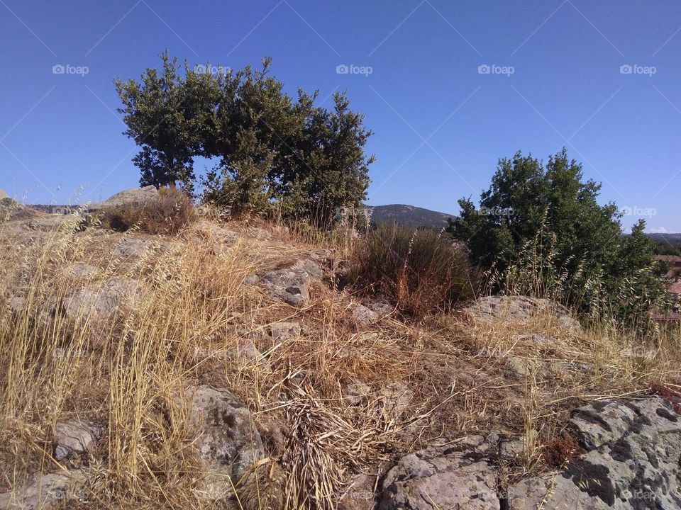 Editors' Choice - Photo of the Week