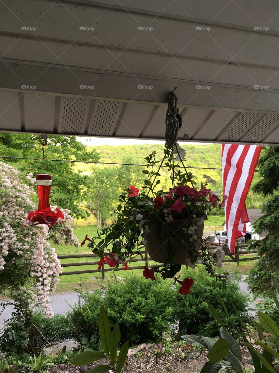 Front porch. Home in the mountains. Spring bursting with vegetation and flowers. Hummingbird feeder and American flag. 
