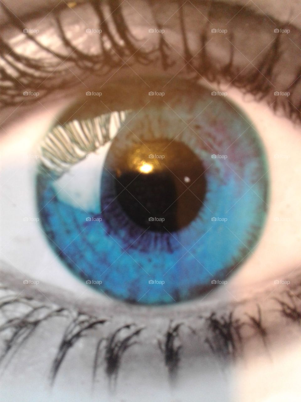 ojo pupila iris