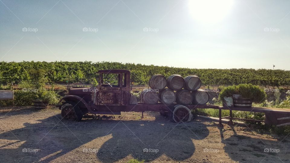 Agriculture, Wine, Landscape, Farm, Vehicle