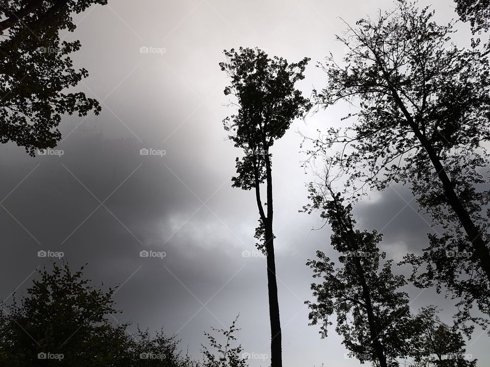 Black is my favourite colour, sky is my favourite view