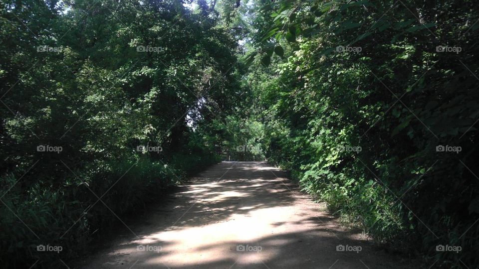 A look into the wild