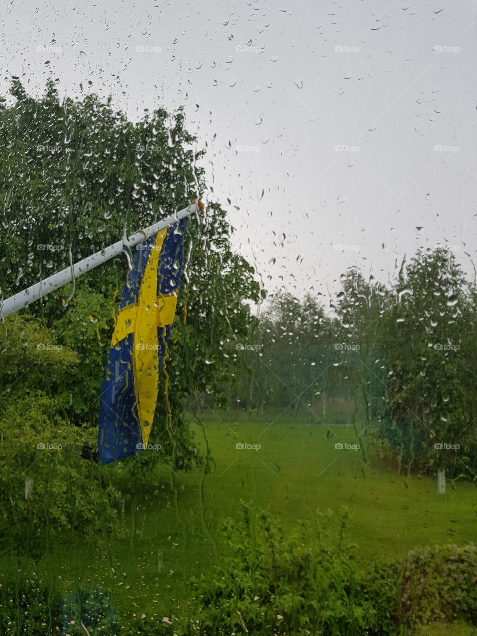 Swedish summer 
rain
flag