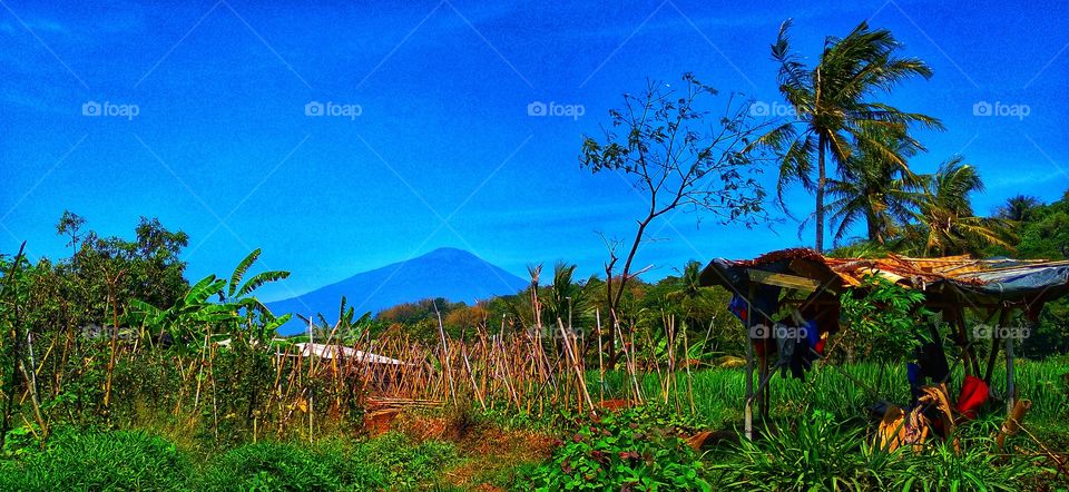 At the end of the vision can be seen the mountain