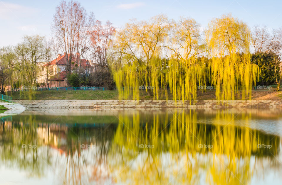 city park with lake in the spring season