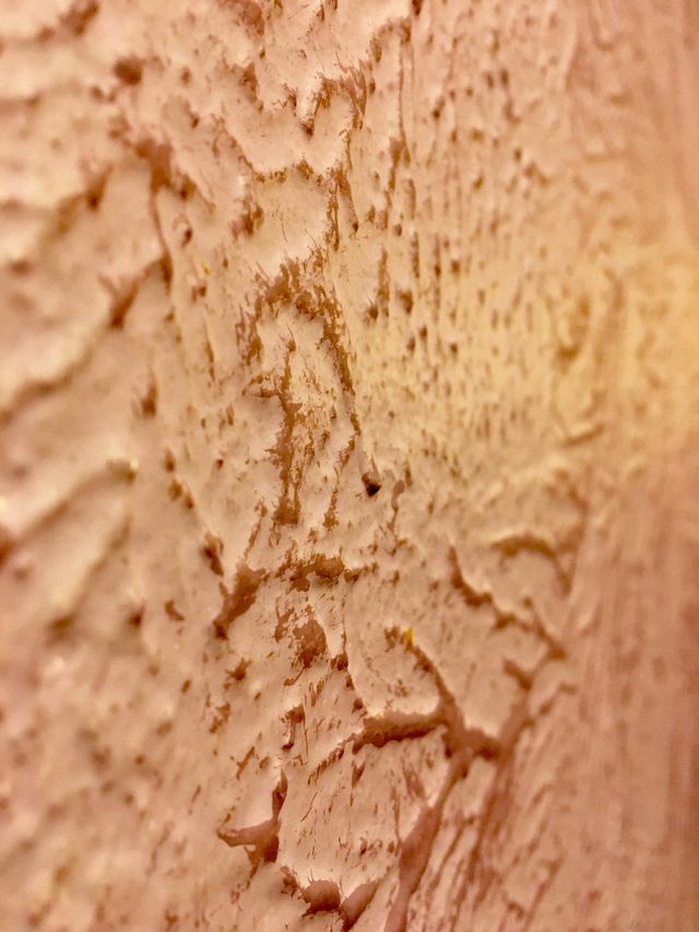 Plaster wall