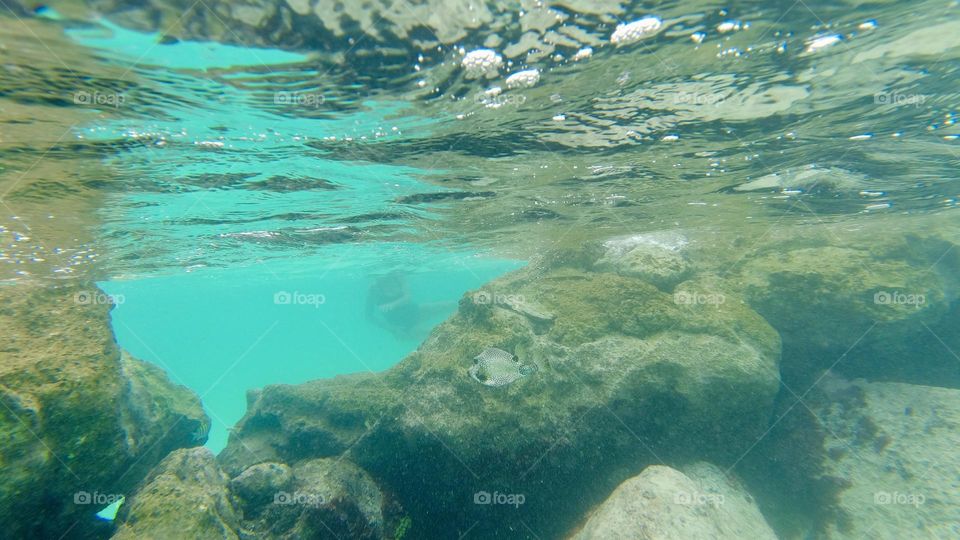 Beautiful colors of Bermuda’s Waters underwater 