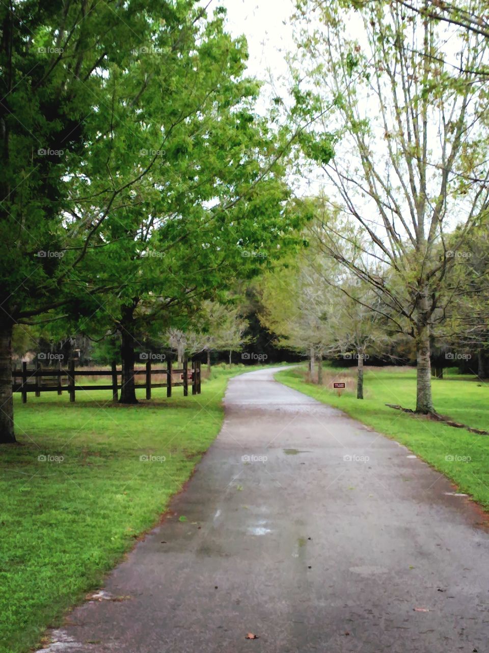 Nature Trail