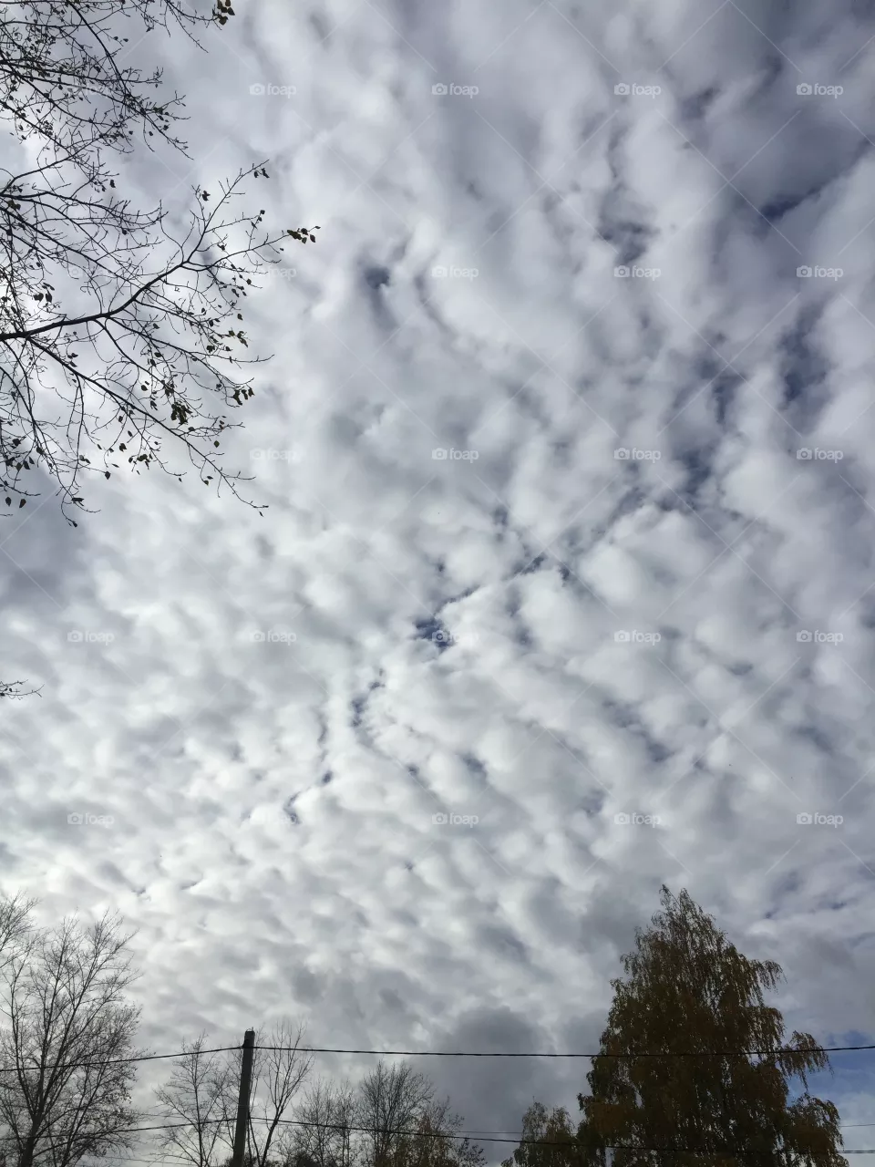 Clouds 