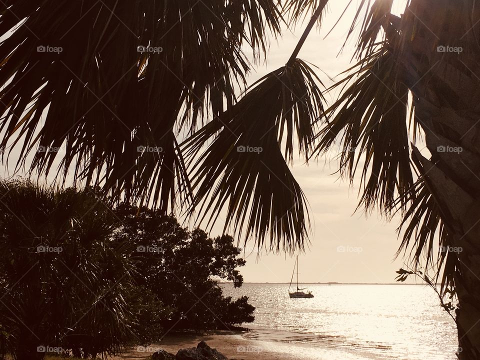 View from the window...