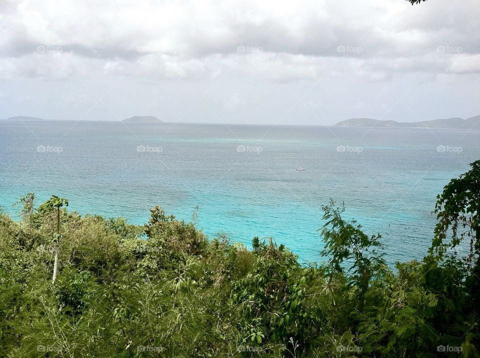 Overlooking the island.