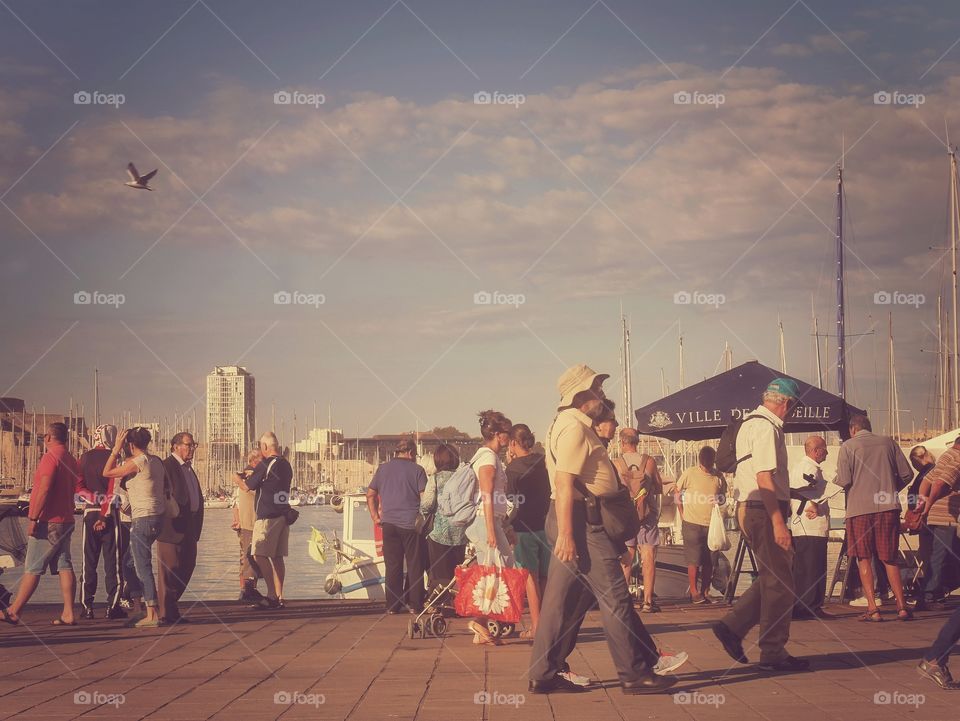 on the Harbor 