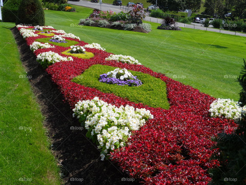 flower garden. St. Joseph Montreal