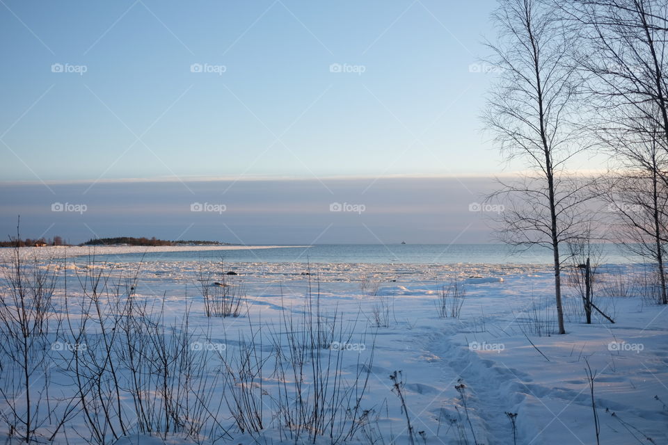 Winter, Snow, Landscape, Cold, Frost