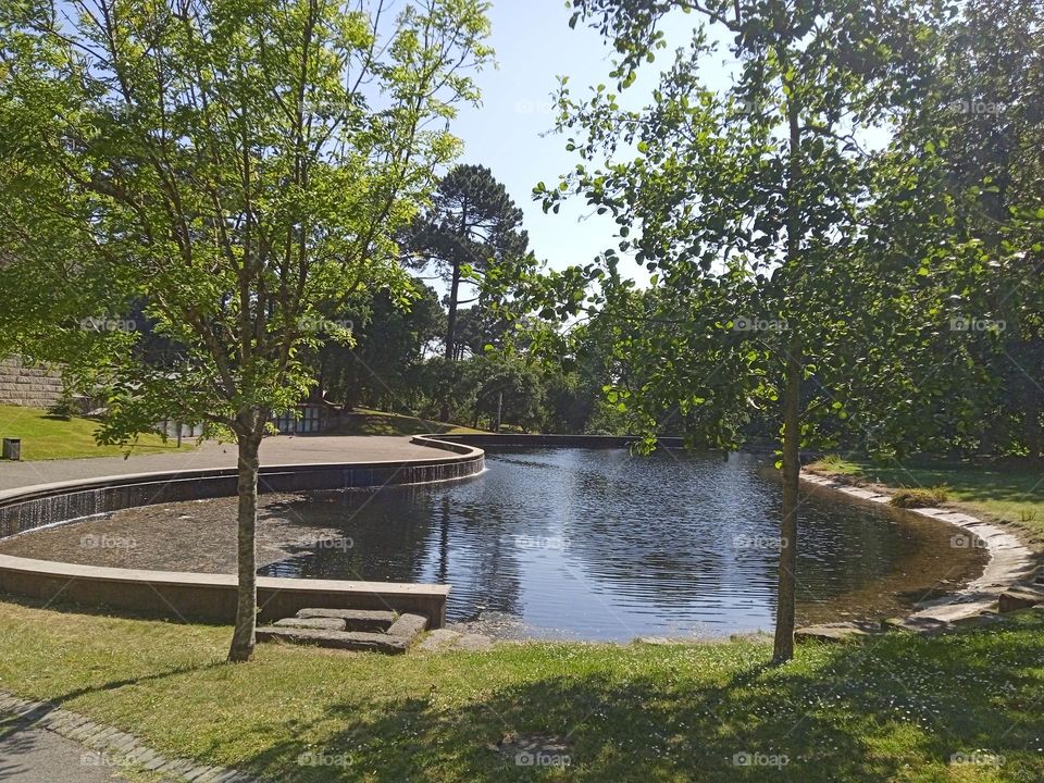 small lake in a park in Porto