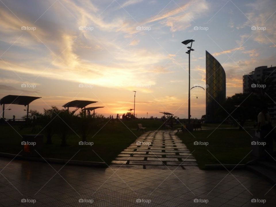a park with a path that points to the sunset