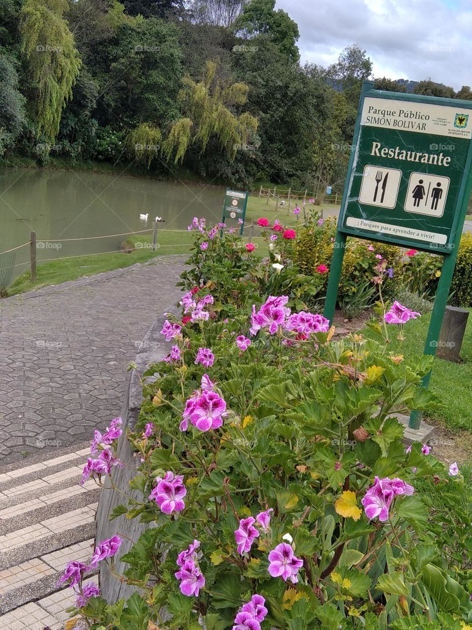 beautiful place in the city