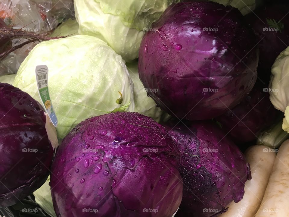Cabbage 