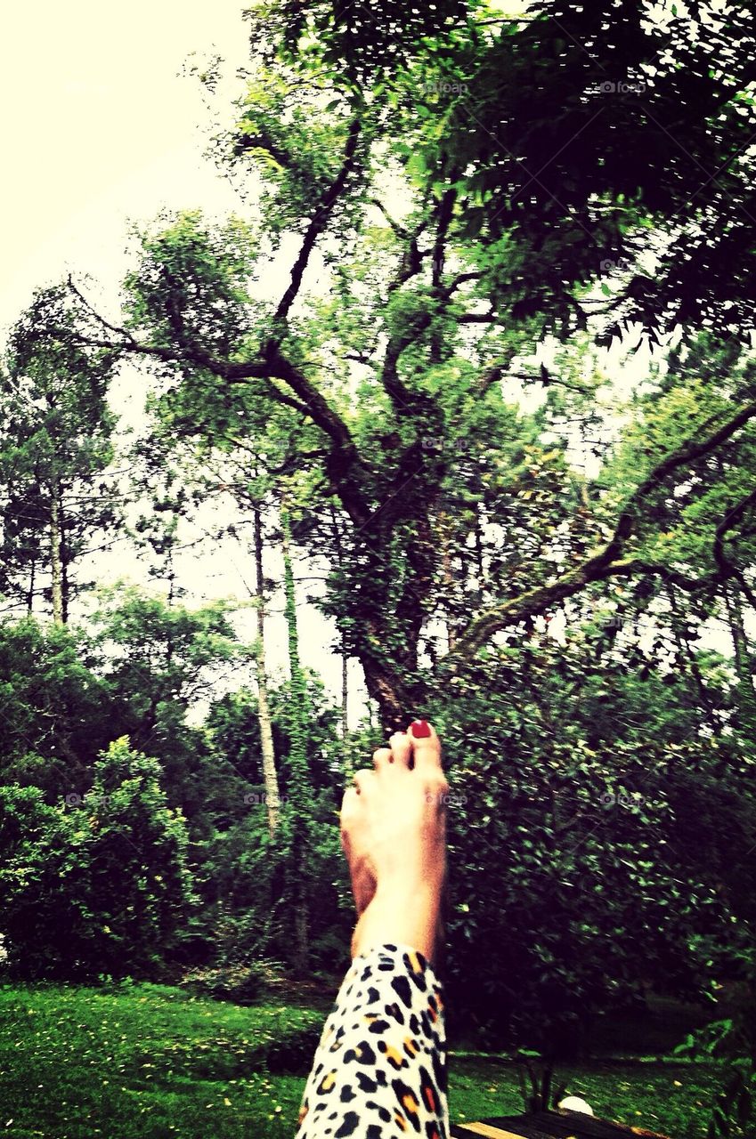 Jungle foot