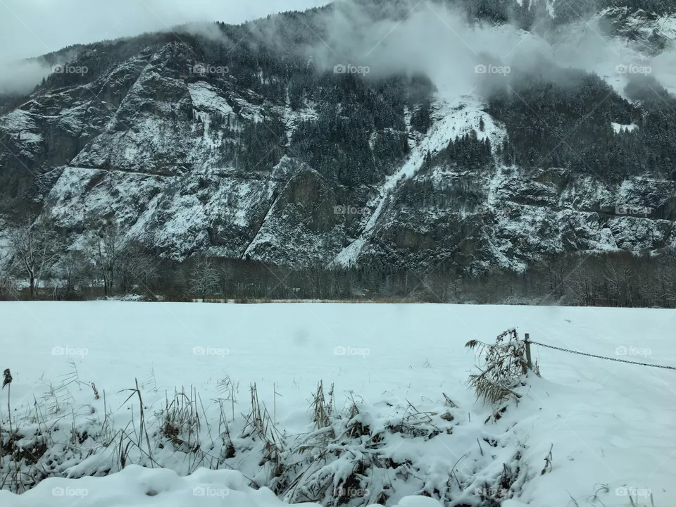 Snow Field