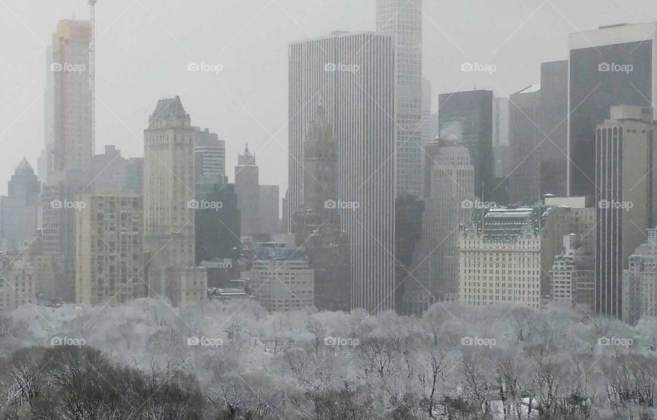 after the snow storm looking at Southeast corner of Central Park Plaza Hotel from West Side