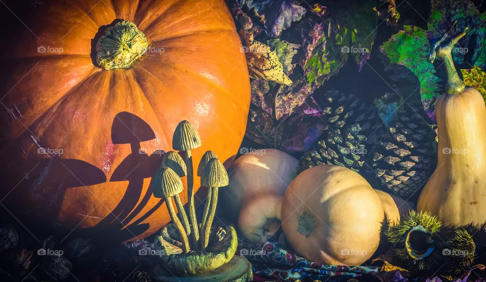 Dimly lit, autumnal display of harvest vegetables, pine cones and a carved wooden mushroom on a background leaves