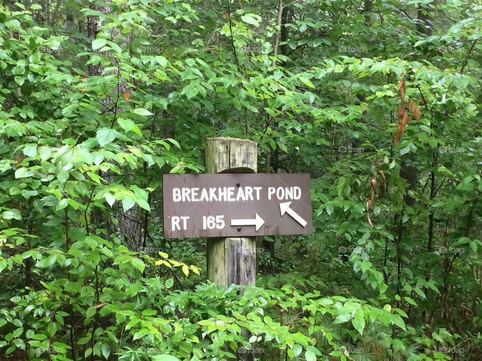  Breakheart pond  