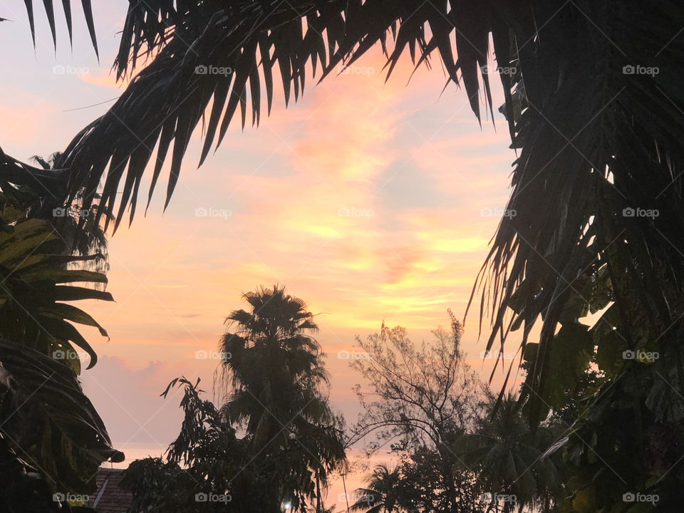 Jamaican sunrise 
