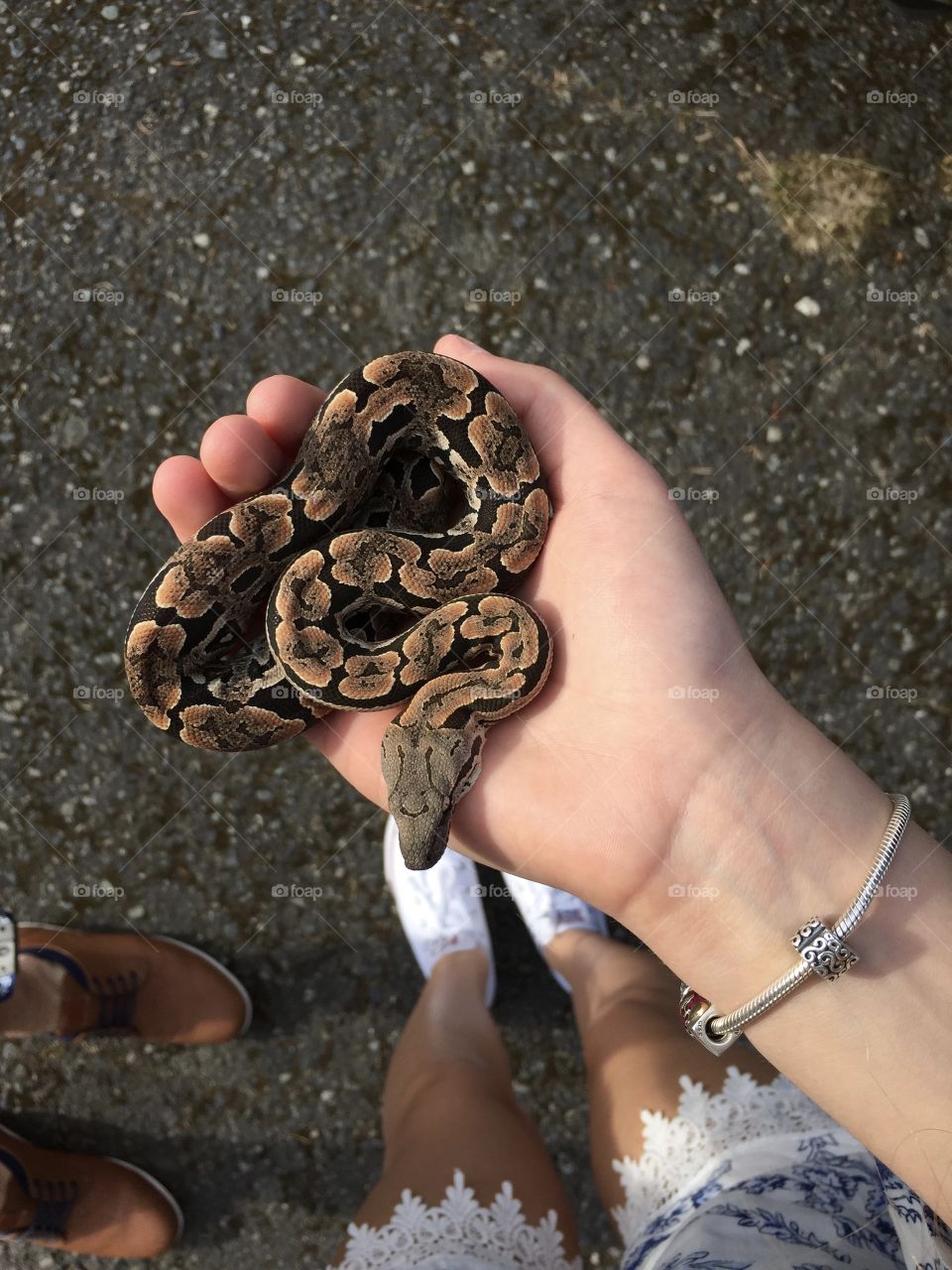 My snake friend
