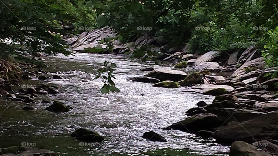 Rocky Mountain River