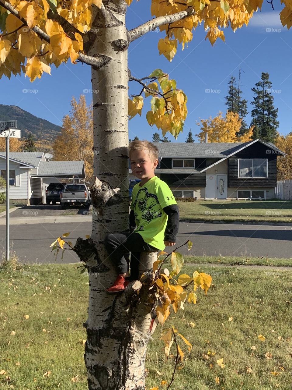 Boy climbing a tree 