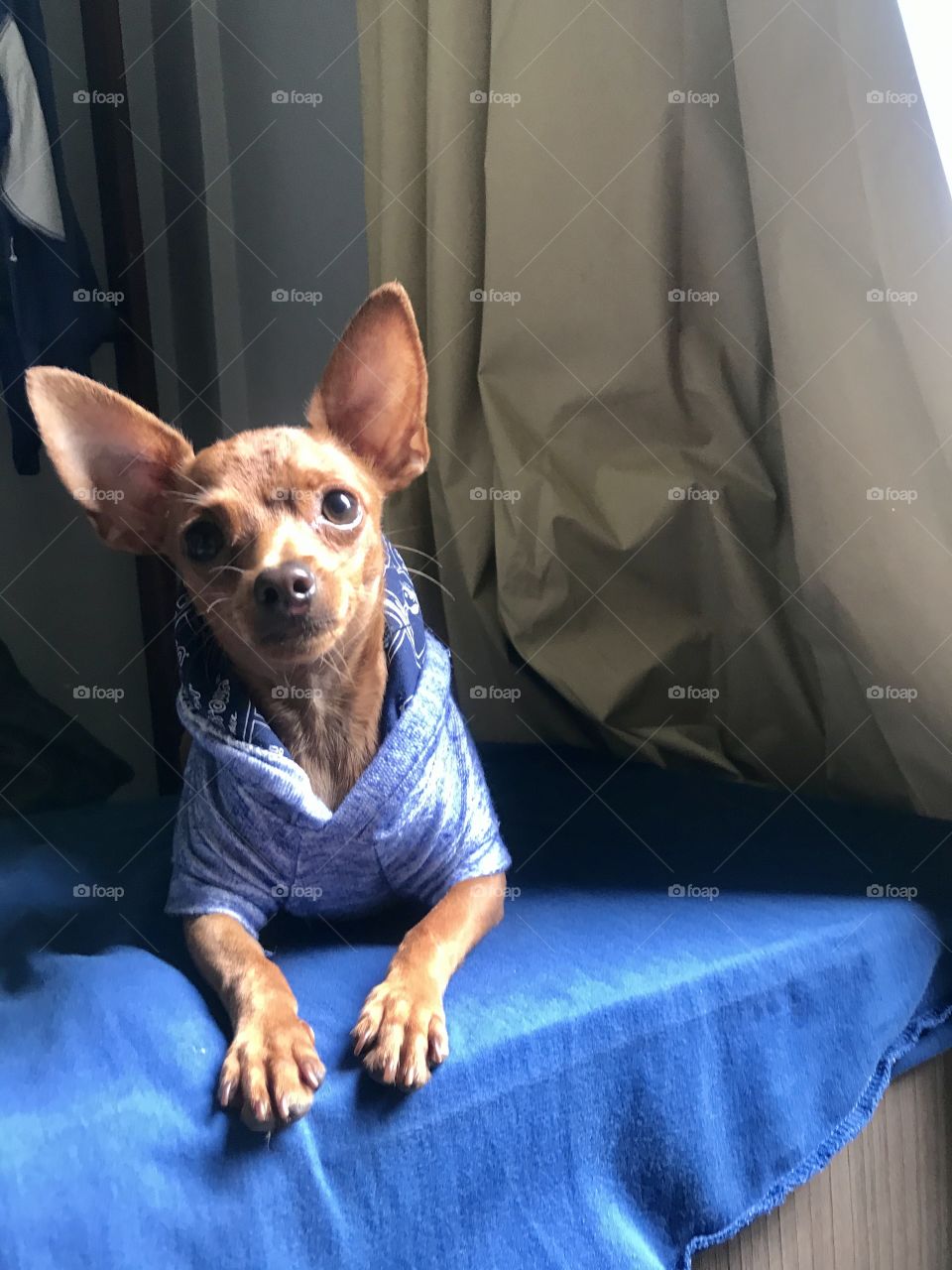 Bilico  bebe da casa❤️