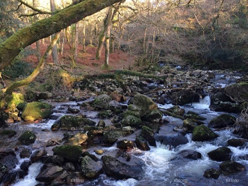 Dartmoor stream 