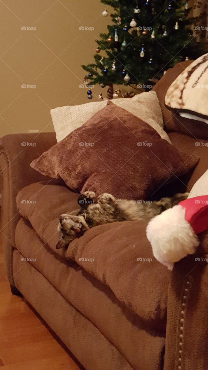 first day in new home.... comfort!