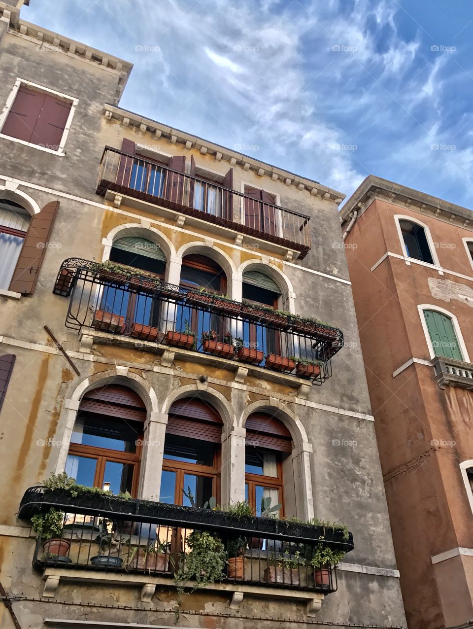 Low angle view of potted plant on facade of building