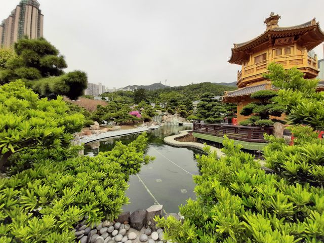 garden