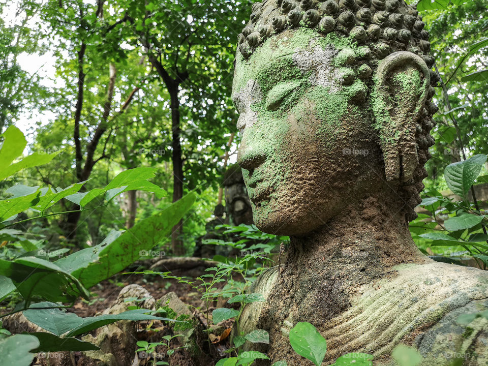Green Buddha in nature