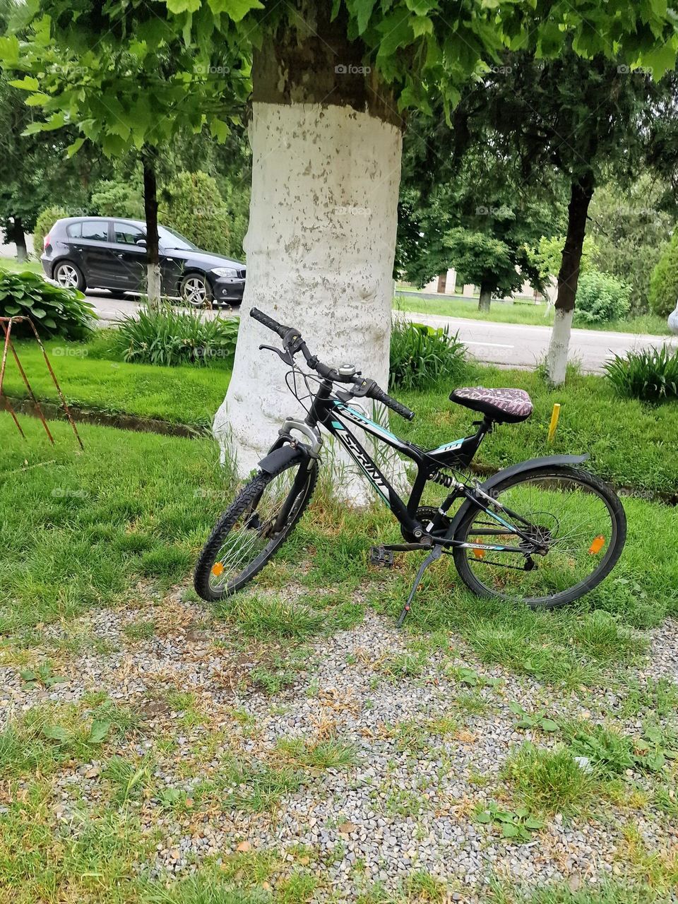 lonely bicycle