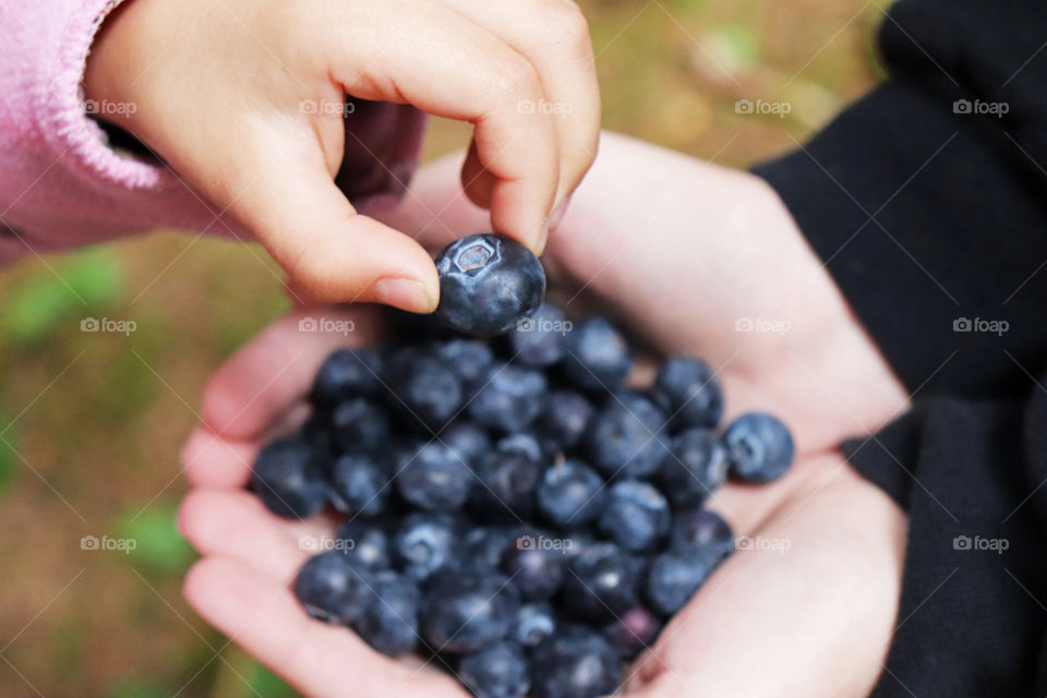 Handful of fresh blueberries