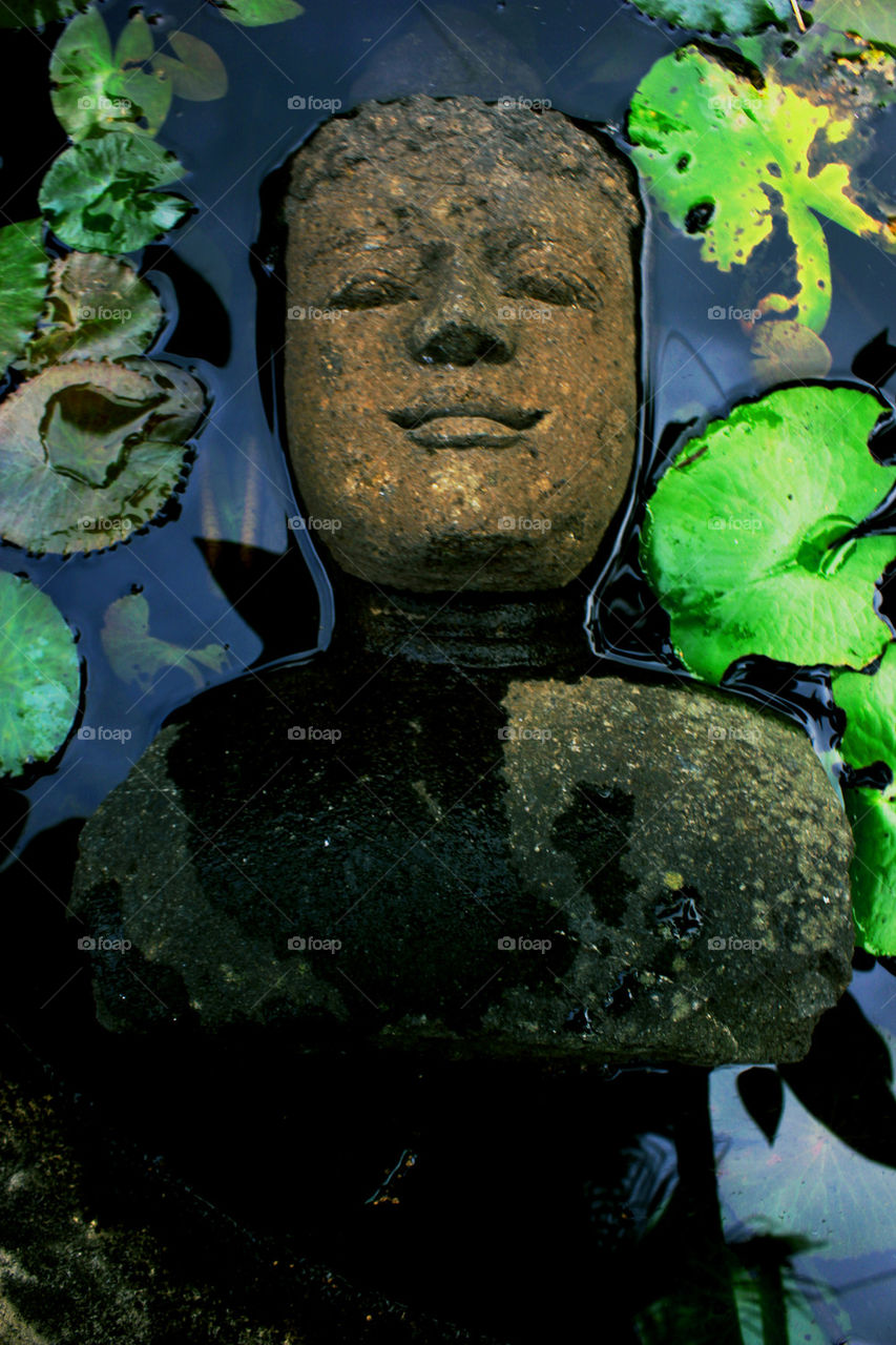 budha in the water