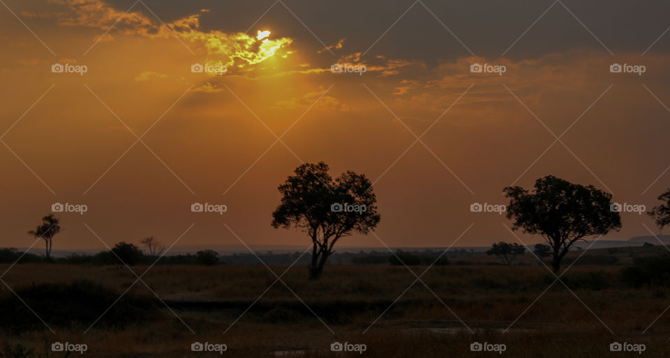 Masai Mara sunset