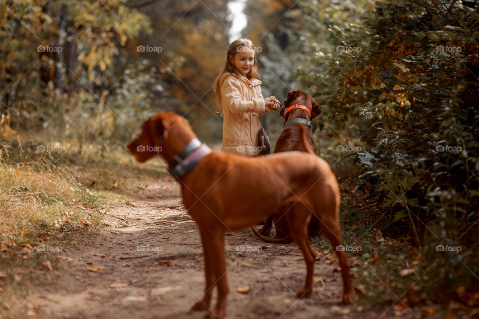 Little girl playing with dogs in an autumn park