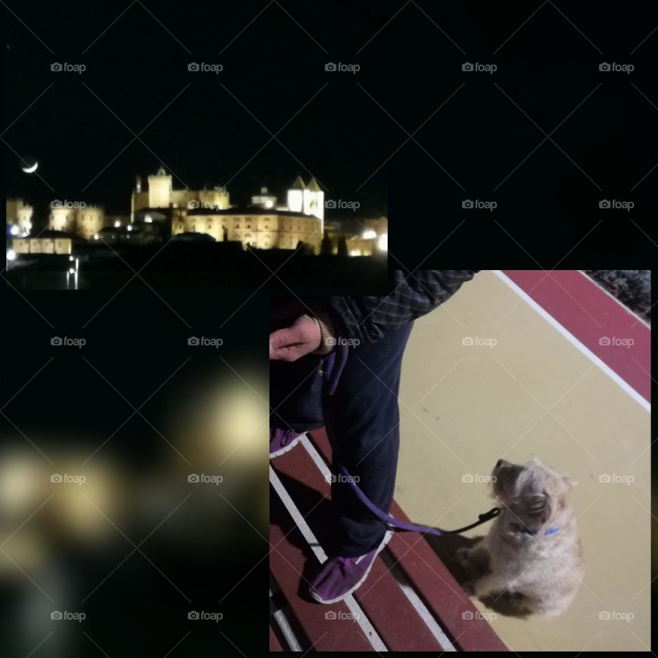 Making off to the Moon 2