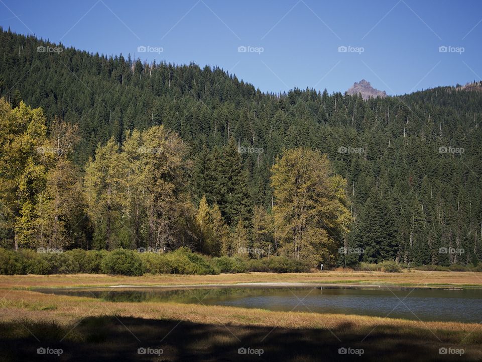 Lost Lake off of the Santiam Pass in Oregon’s mountains with multicolored trees reflecting in its waters on a beautiful sunny fall day. 