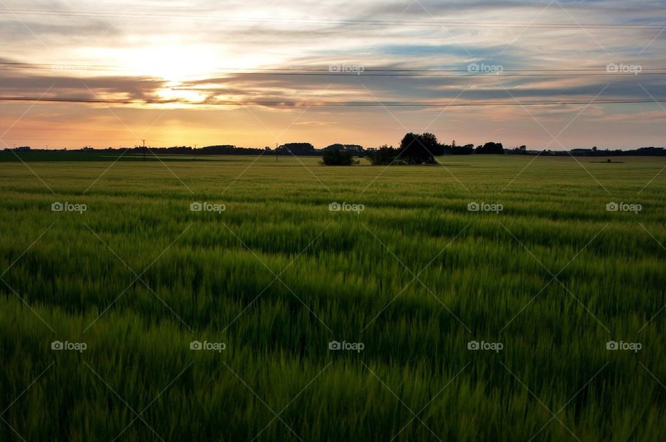 Sunset view of landscape